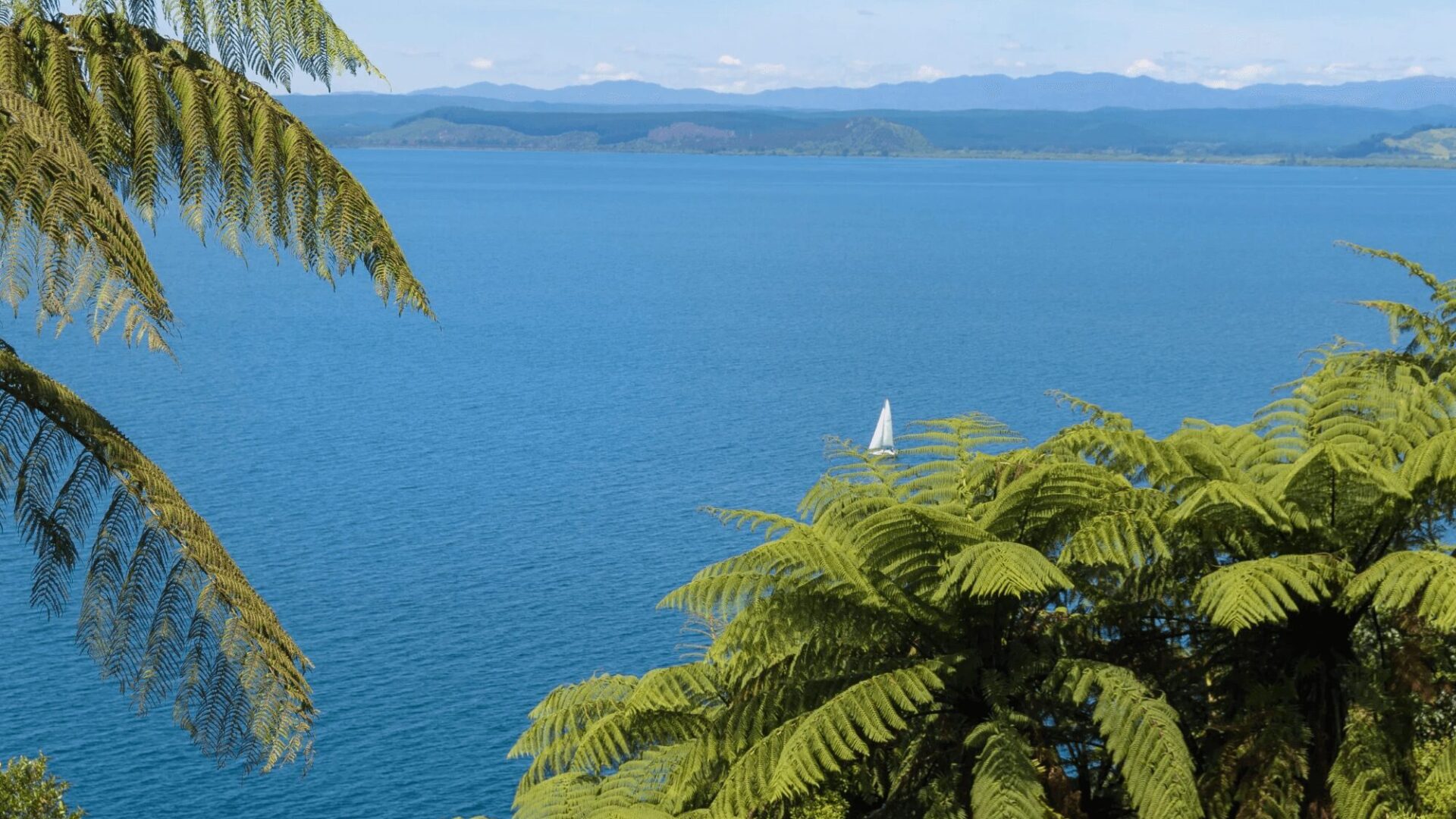 097_Open2view_ID412290-Oreti_Resort_Pukawa_Dr-scaled (Custom) (1)